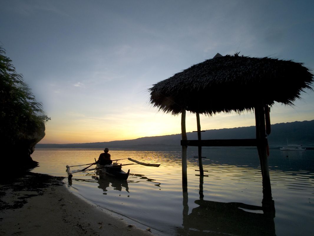 Badian Island Wellness Resort фото 27