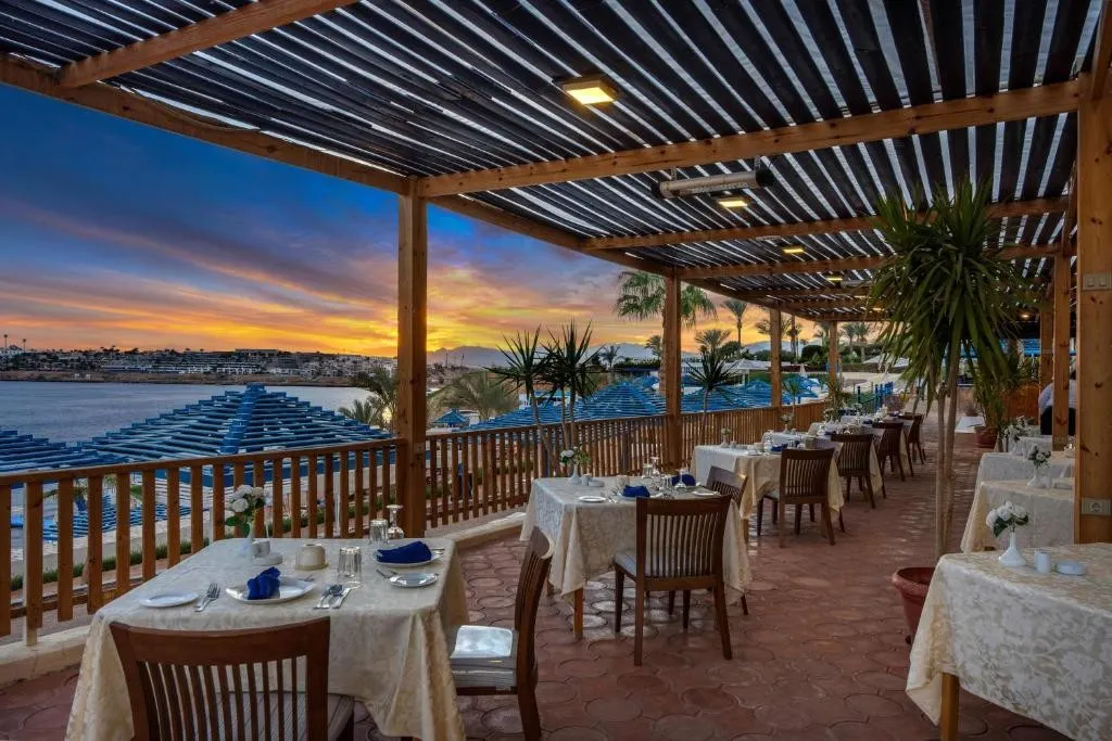 Grand Oasis Resort фото 14