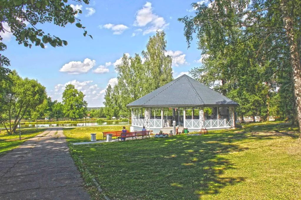 Парк-отель «Sofrino Park Hotel» фото 31
