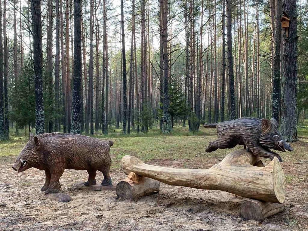 Санаторий «Нарочанский берег» фото 22