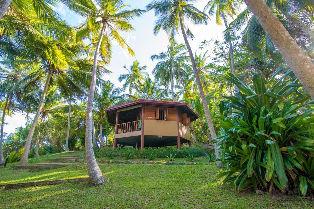 Palm Paradise Cabanas & Villas фото 9