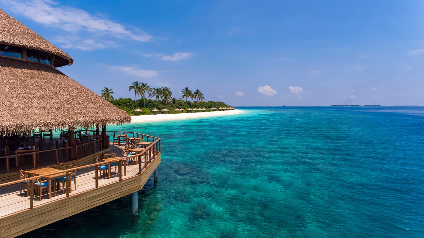 Reethi Faru Resort фото 43
