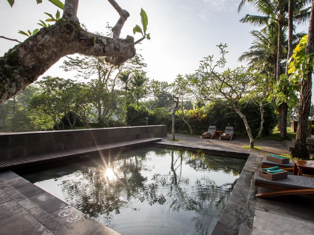 Maya Ubud Resort & Spa фото 39
