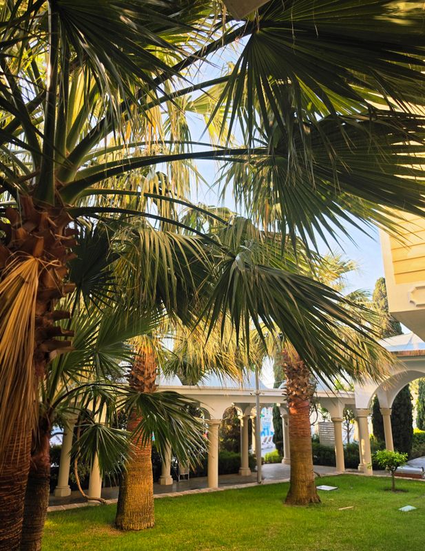 Swandor Hotels & Resorts Topkapı Palace фото 74