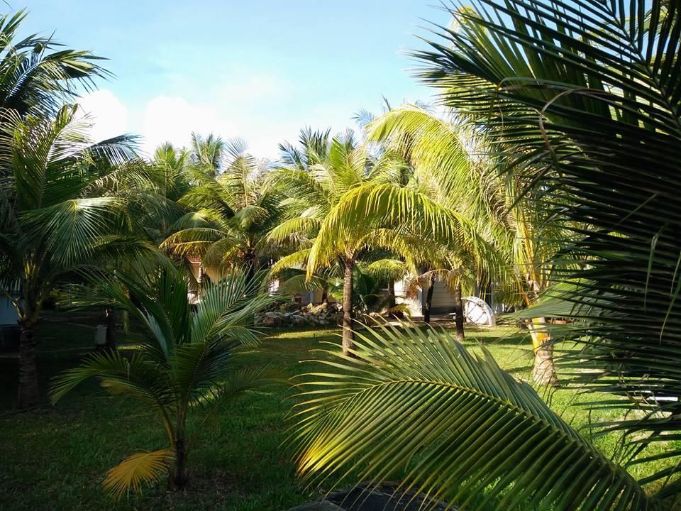 Cuu Long Phu Quoc Resort фото 21