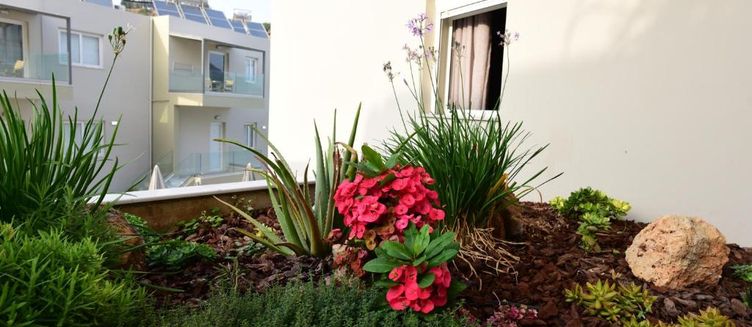 Фото отеля Blue Horizon Apartments
