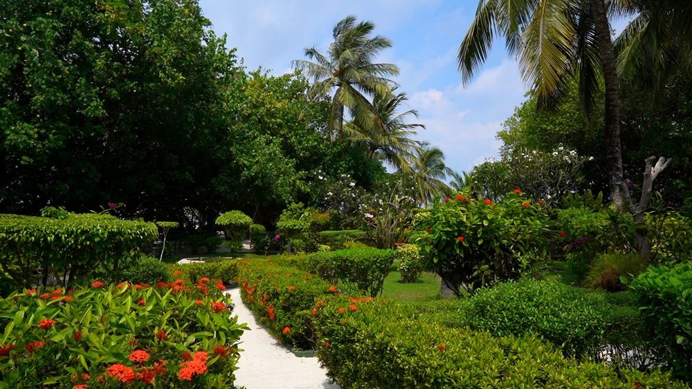Adaaran Prestige Vadoo (Adults Only) фото 79