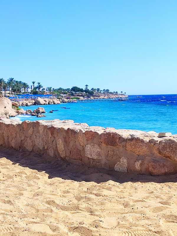 Queen Sharm Resort View фото 41