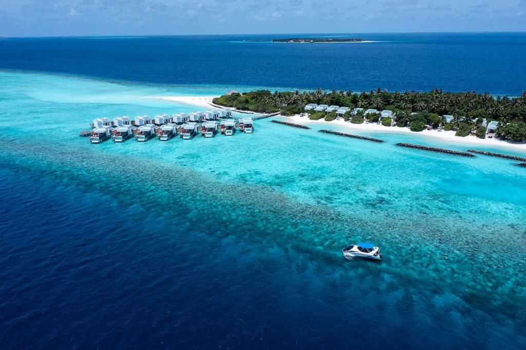 Niva Dhigali Maldives фото 41