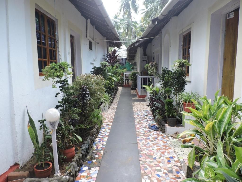 Guest House «Zappia Cove Guesthouse» фото 33