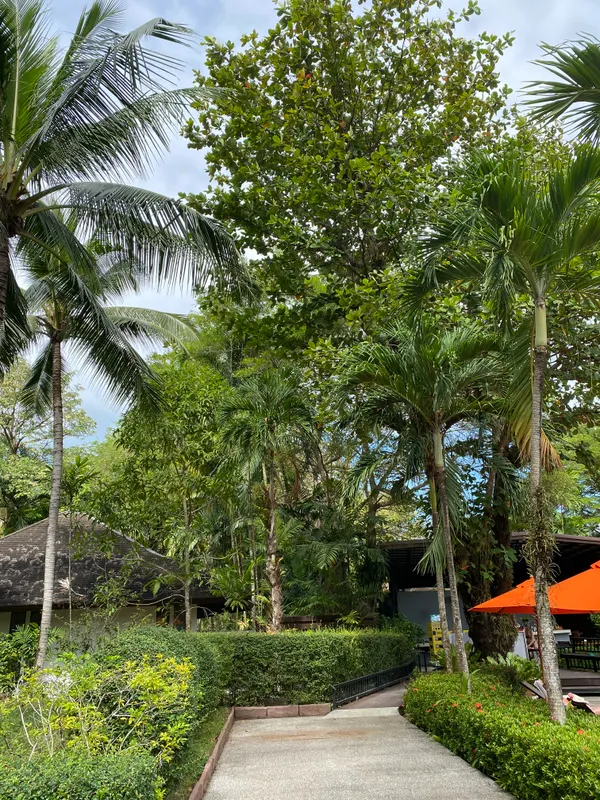 Nai Yang Beach Resort & Spa фото 55