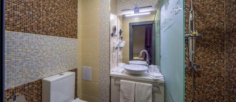 Фото отеля Aster Hotel Group