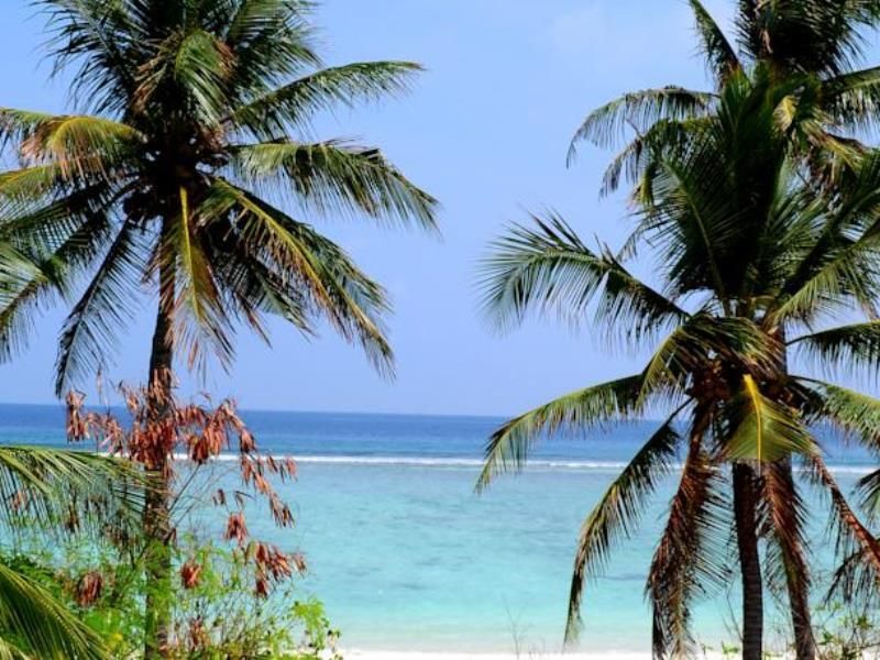 Velaa Beach фото 4