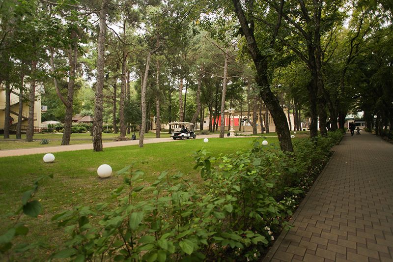 Санаторий «Жемчужина моря» фото 15