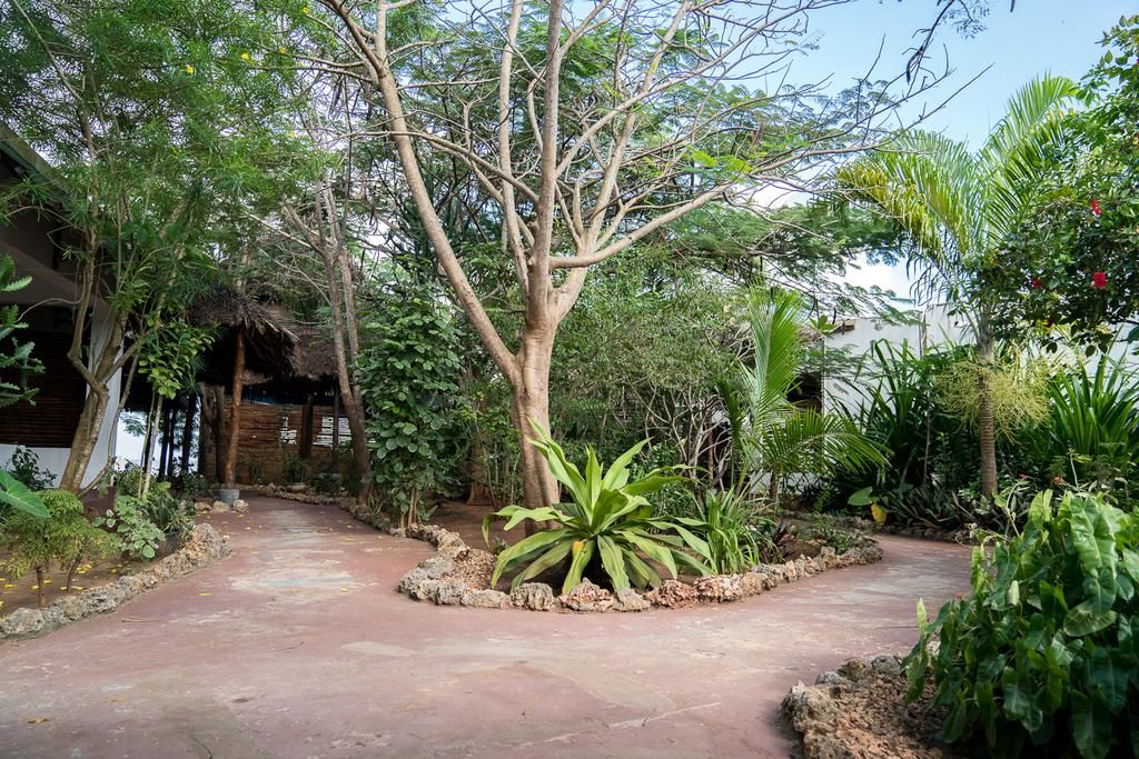 Beach Baby Lodge фото 5