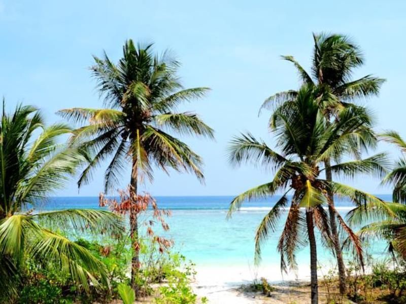 Velaa Beach фото 7
