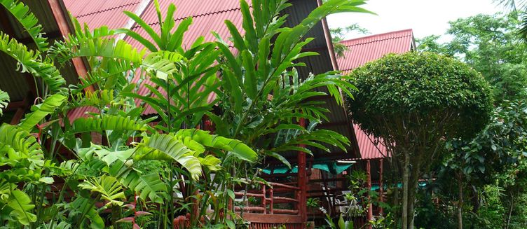 Фото отеля Green View Village Resort