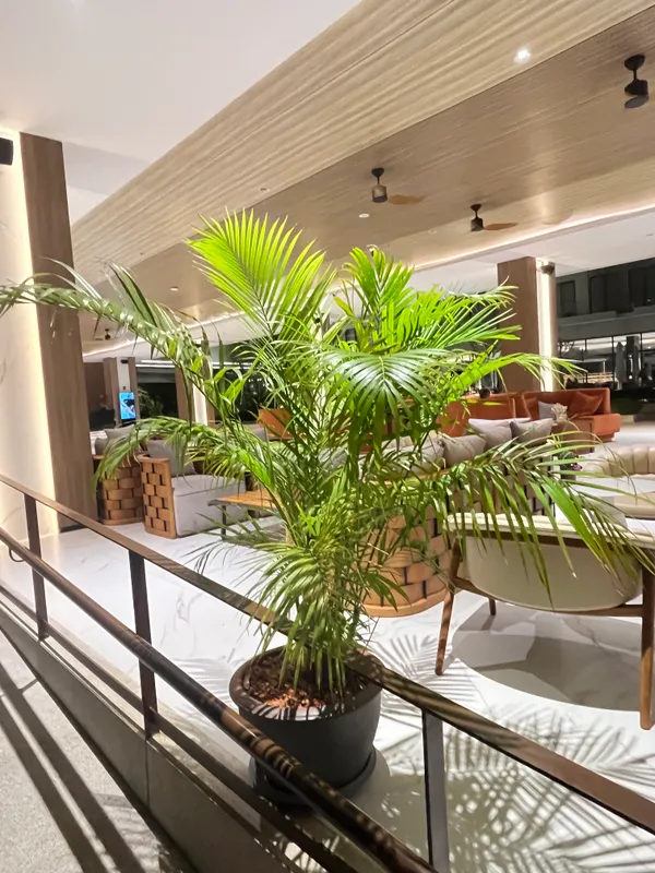 Laya Resort Phuket Island фото 77