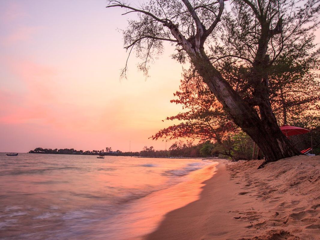 Wild Beach Phu Quoc Resort фото 40