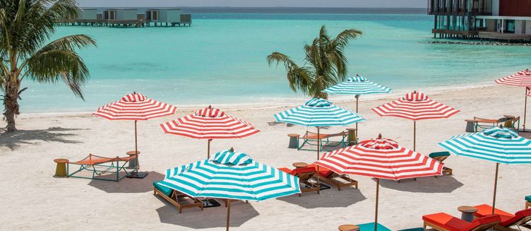 Фото отеля So Maldives