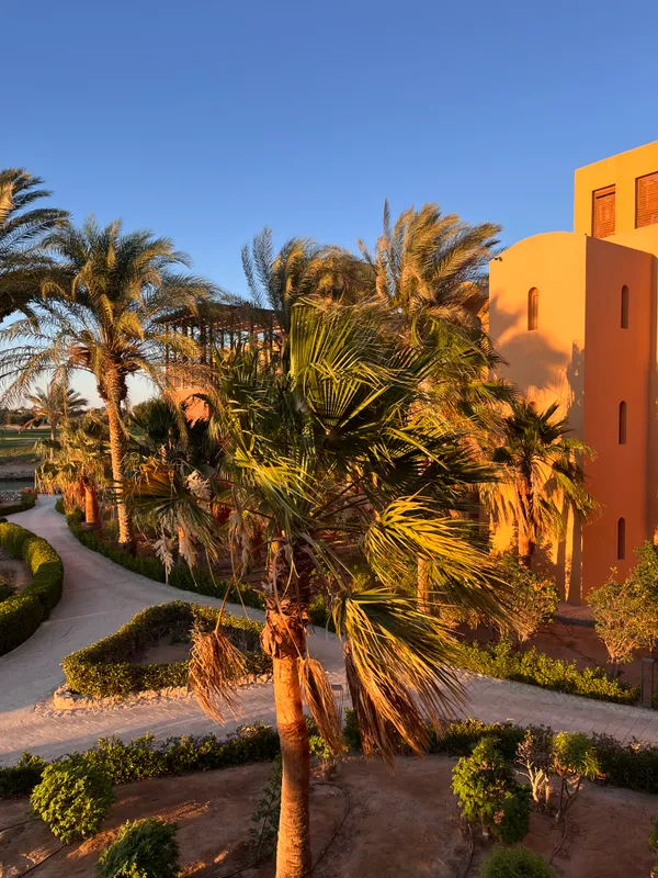 Steigenberger Golf Resort El Gouna фото 58