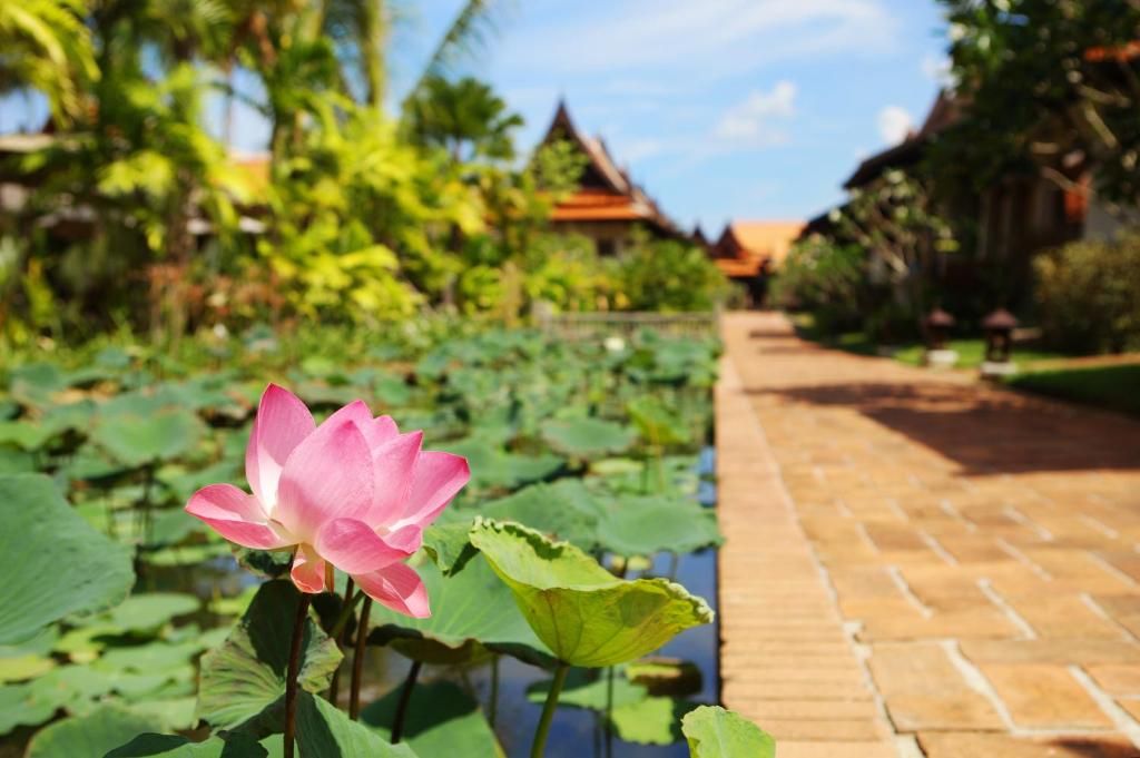 Khaolak Bhandari Resort & Spa фото 57