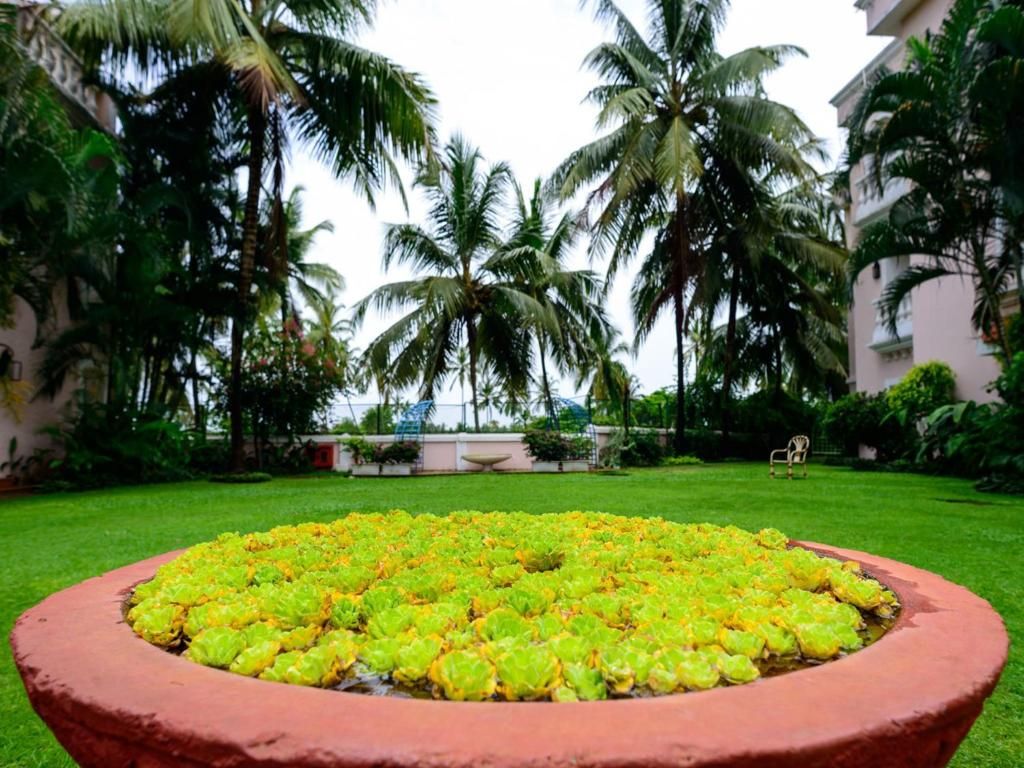 Club Mahindra Emerald Palms фото 47