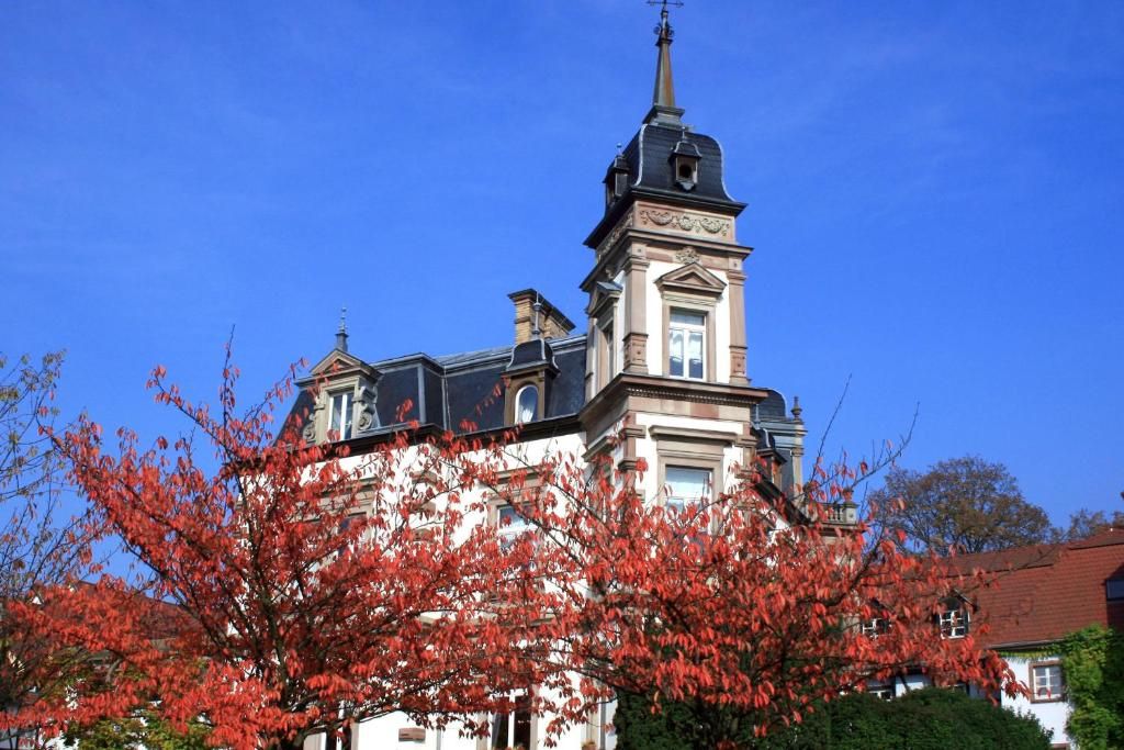 Hôtel & Spa Château de l'ile фото 15