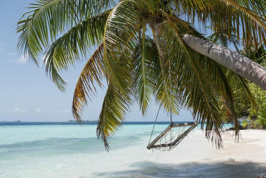 Biyadhoo Island Resort фото 34