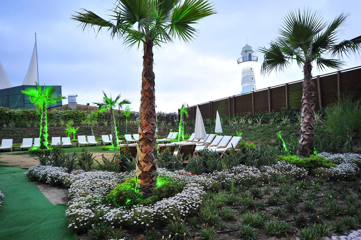 Adenya Hotel & Resort Halal All Inclusive фото 50