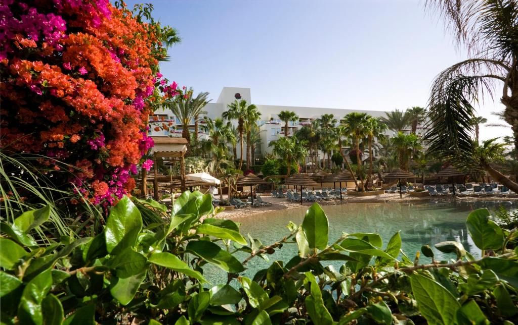 Isrotel Royal Garden фото 30