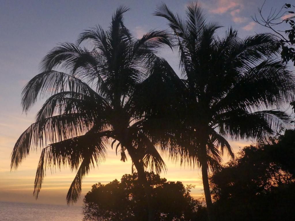 Fumba Beach Lodge фото 40