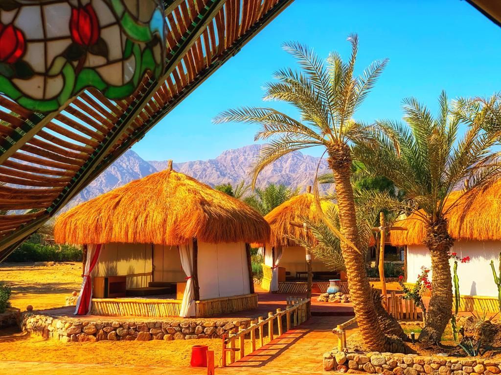 Nuweiba Club Resort фото 19