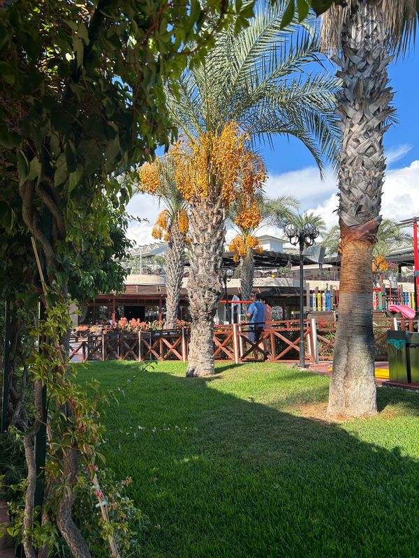 Hotel Turan Prince фото 77