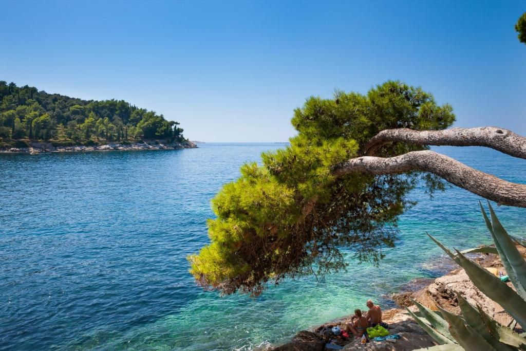 All-inclusive Hotel ALBATROS фото 9