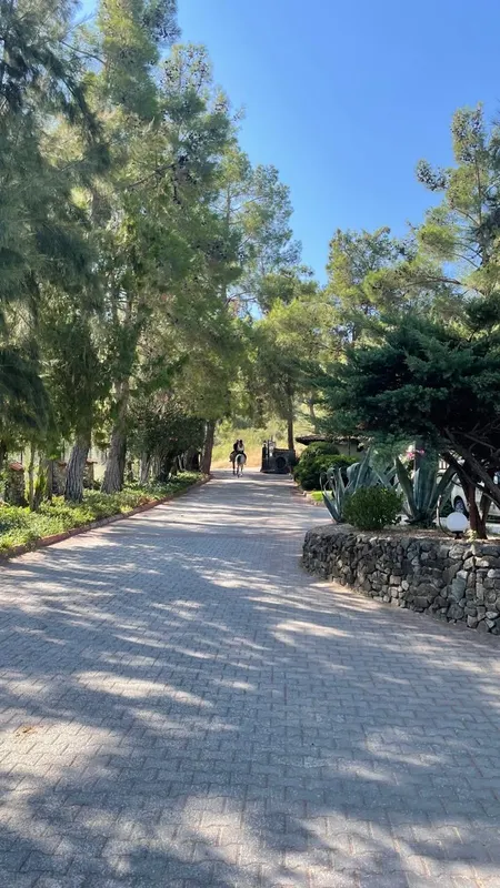 Beso Hotel Berke Ranch & Nature фото 45