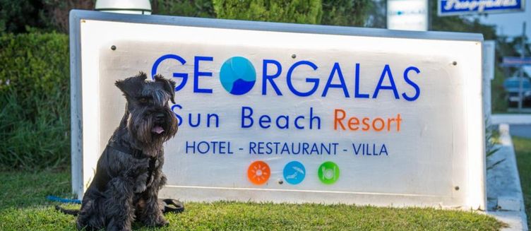 Фото отеля Georgalas Sun Beach Hotel