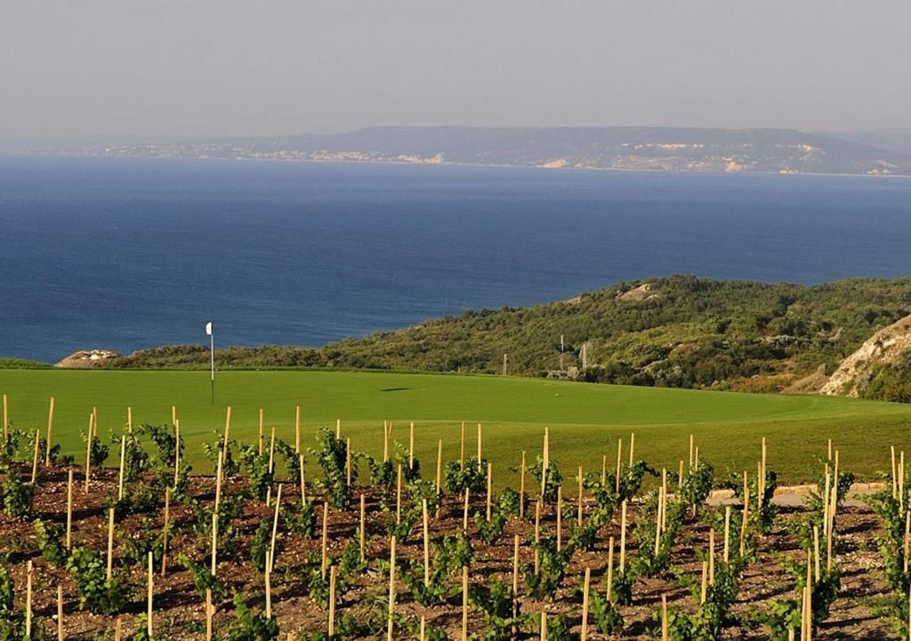 Black Sea Rama Golf & Villas фото 46