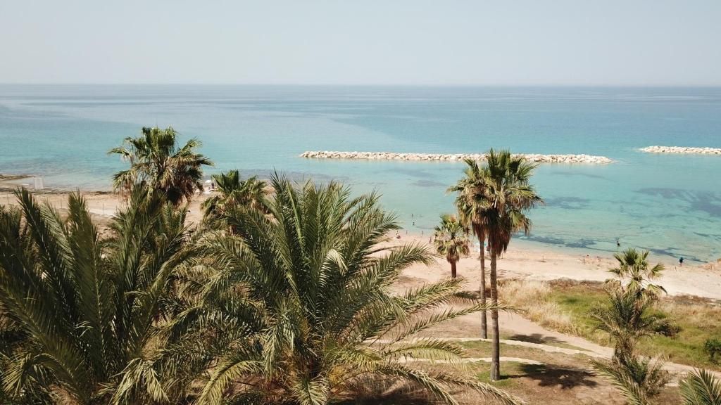 Venus Beach Hotel фото 18
