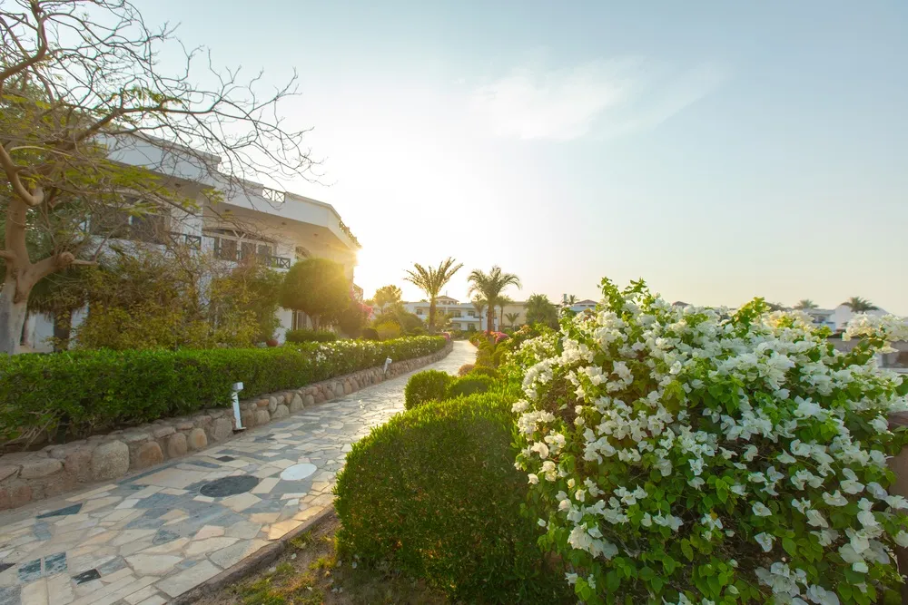 Naama Bay Hotel & Resort фото 102