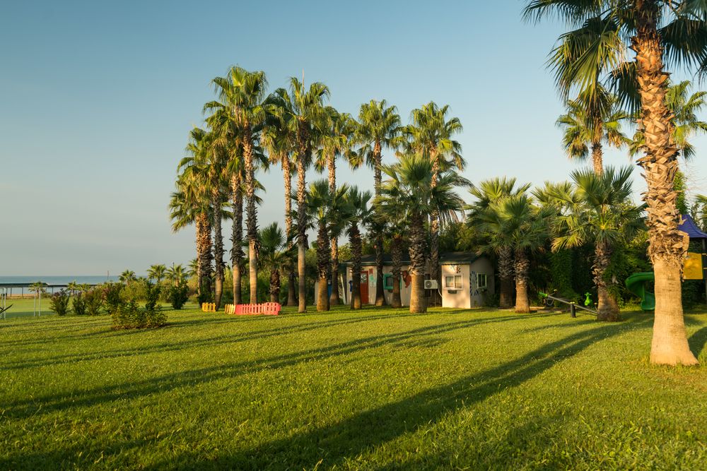 Royal Atlantis Beach Hotel фото 46
