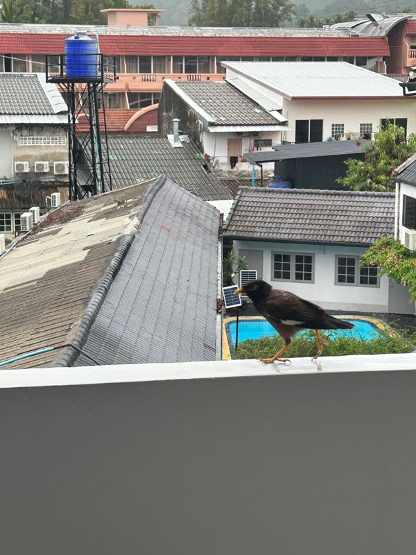 Phuket Island View Hotel фото 40