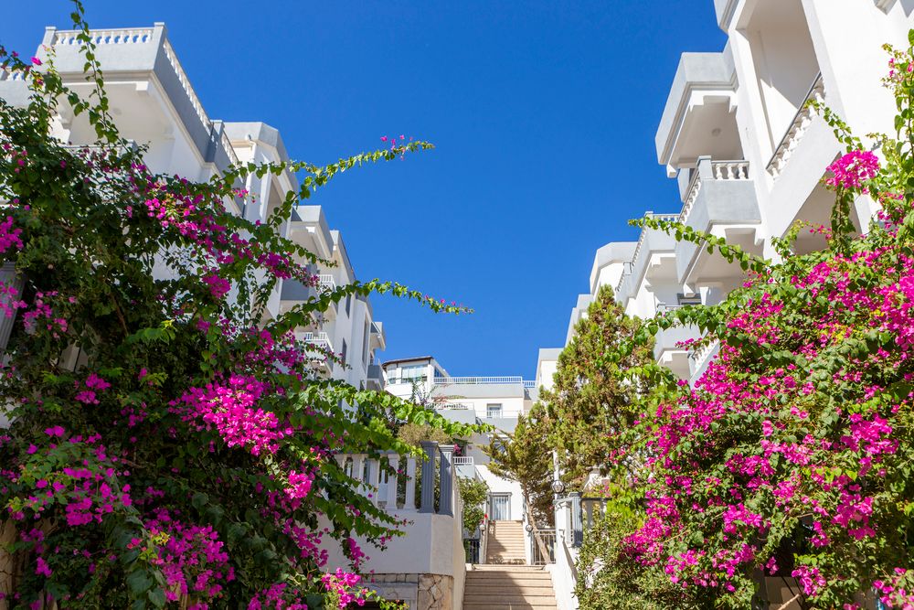 Smart Holiday Hotel Bodrum фото 56