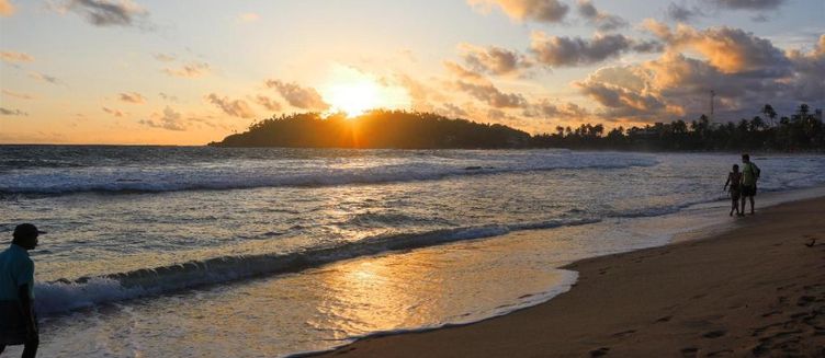 Фото отеля Mirissa Ocean Breeeze Hotel