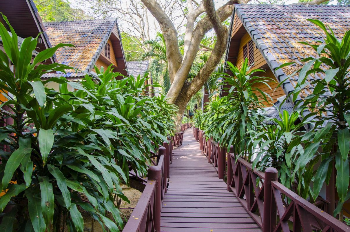 Coral Island Resort фото 3