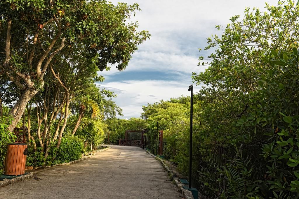 Bel Air Collection Resort & Spa Riviera Maya фото 25
