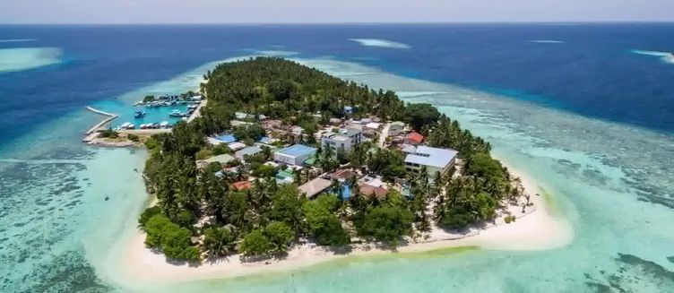 Горящий тур в Plumeria Maldives Guest House