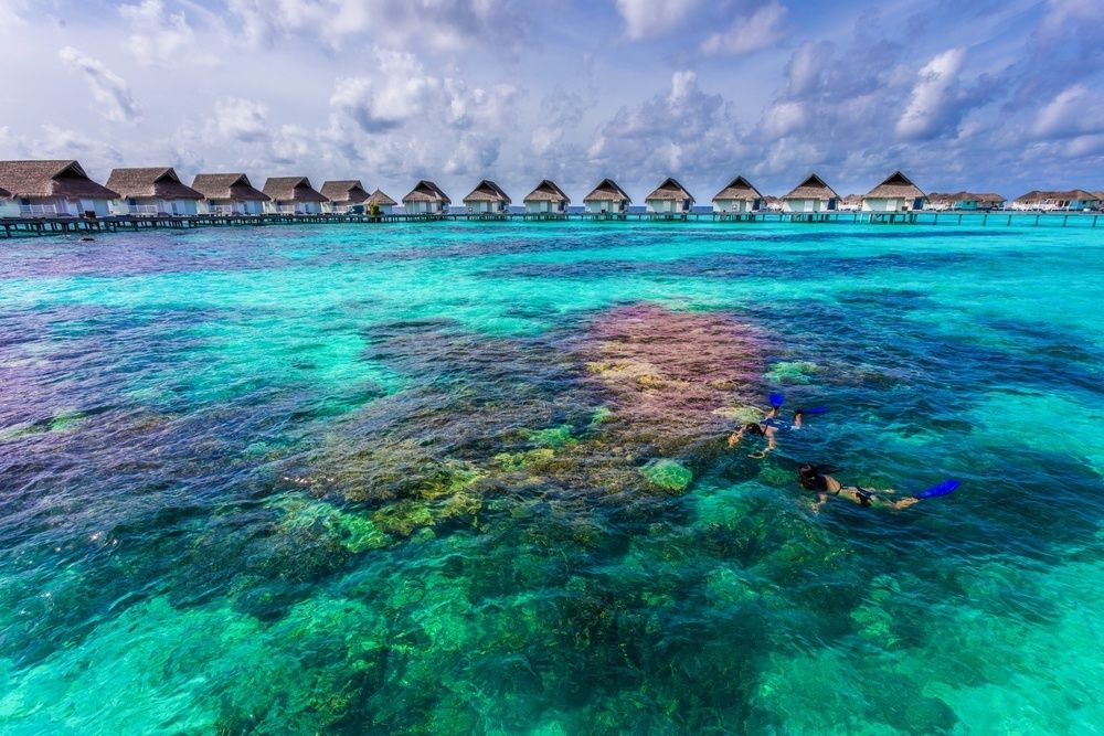 Machchafushi Island Resort & Spa Maldives, The Centara Collection фото 115