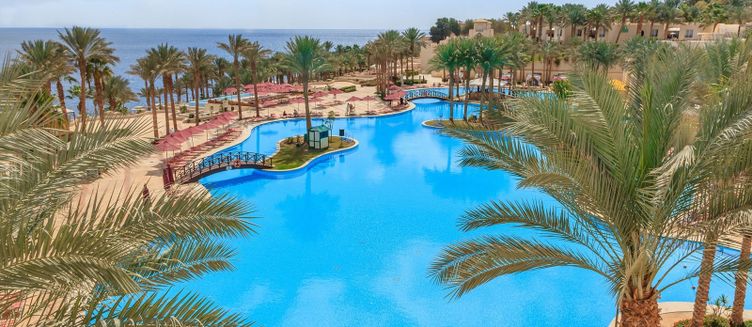 Фото отеля Grand Rotana Resort & Spa