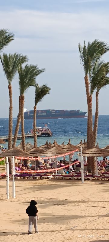 Nubian Island Hotel фото 66